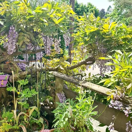Pierre Et Riviere - Terrasse En Apartment